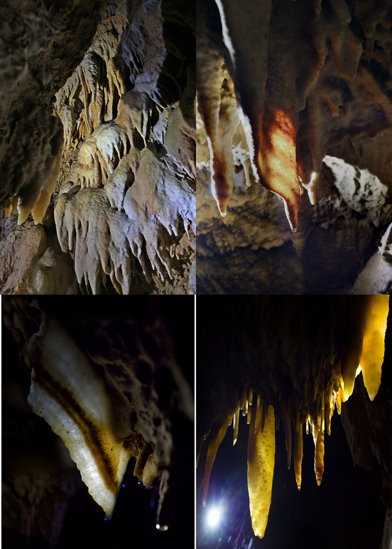 Un aven mic dar frumos impodobit 